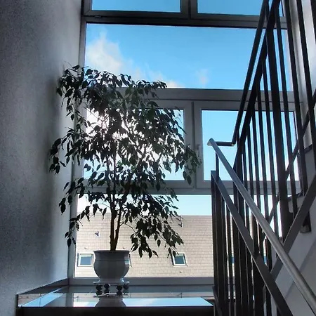 Drei Mohren 32 *